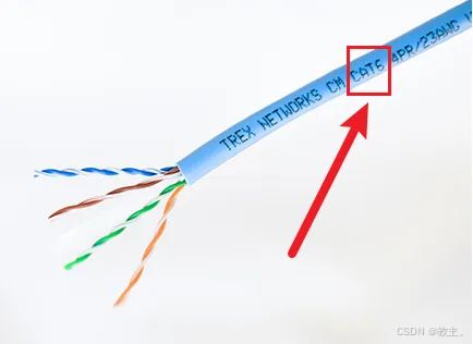網絡生命的脈絡 網線的分類與作用解析